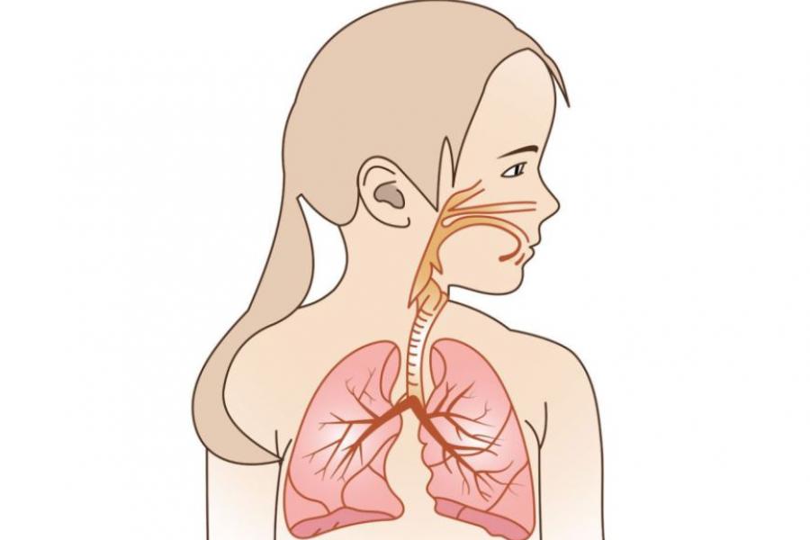 7 Tips Menjaga Paru-paru Anak agar Tetap Sehat